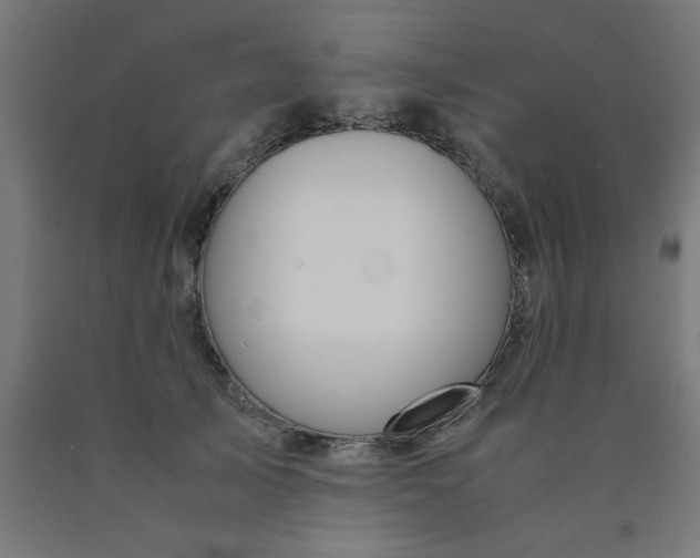 X0000090620705200707311244