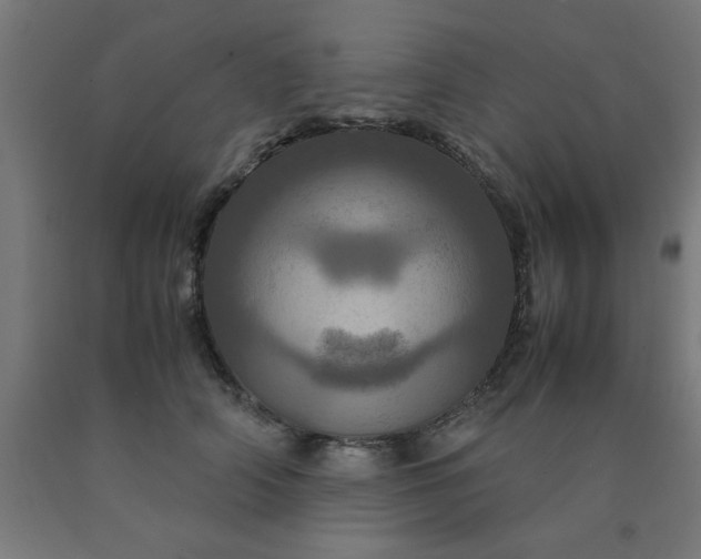 X0000090620706200707311244