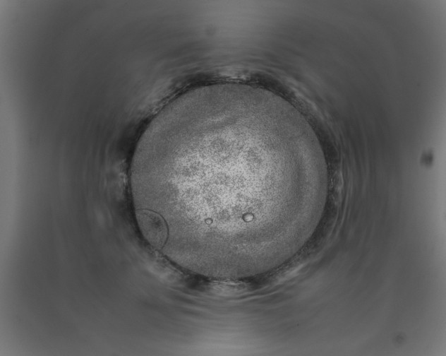 X0000090620707200707311244