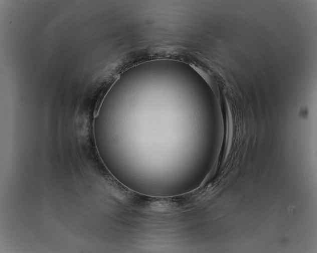 X0000090620708200707311244