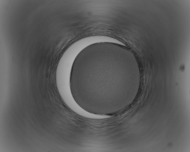 X0000090620709200707311244