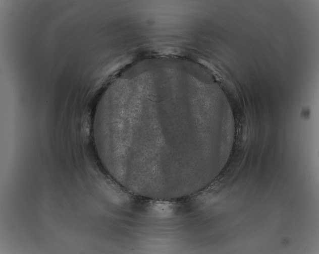 X0000090620710200707311244