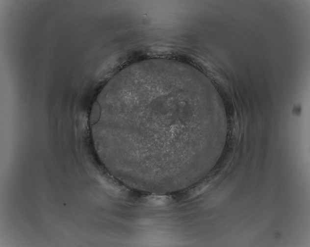 X0000090620711200707311244