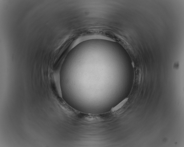 X0000090620712200707311244