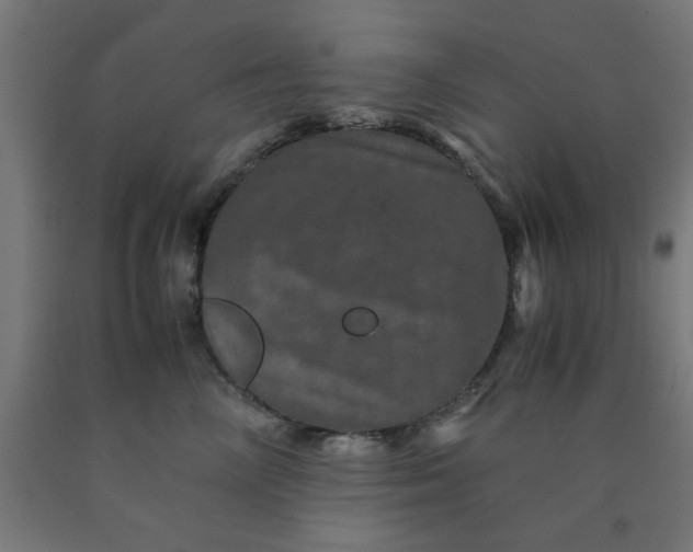 X0000090620714200707311244