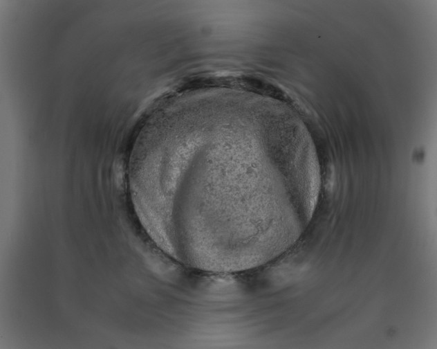 X0000090620715200707311244