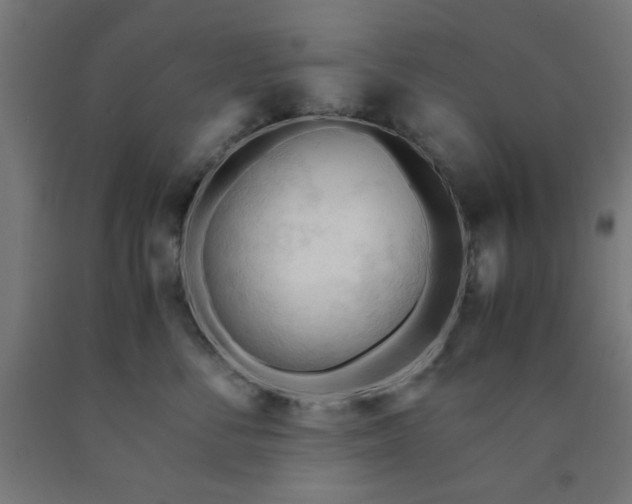 X0000090620716200707311244