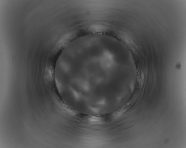 X0000090620718200707311244