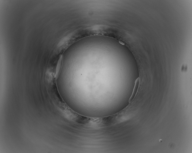 X0000090620720200707311244