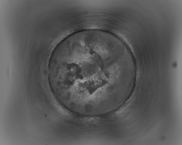 X0000090620721200707311243