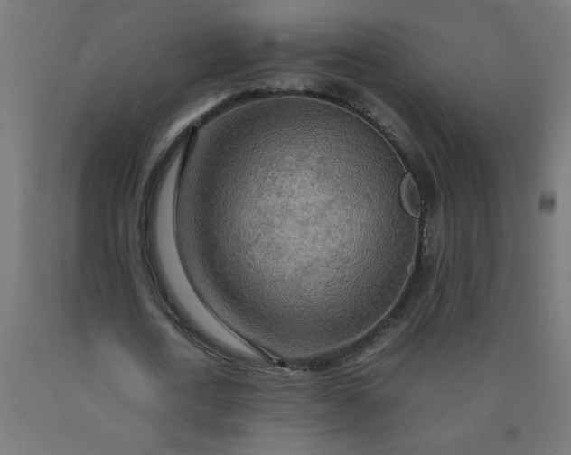 X0000090620722200707311243
