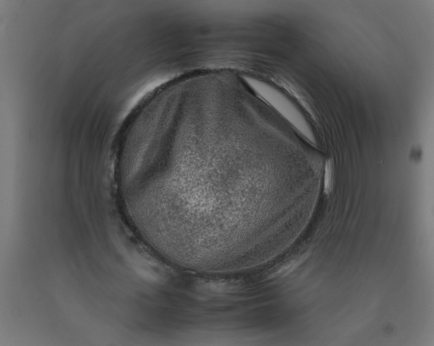 X0000090620723200707311243