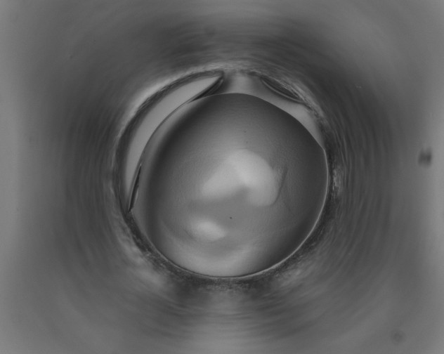 X0000090620724200707311243