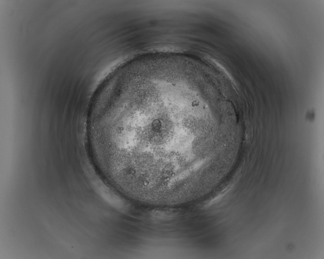 X0000090620725200707311243