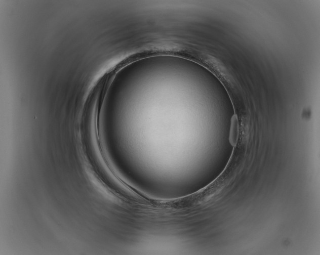 X0000090620726200707311243