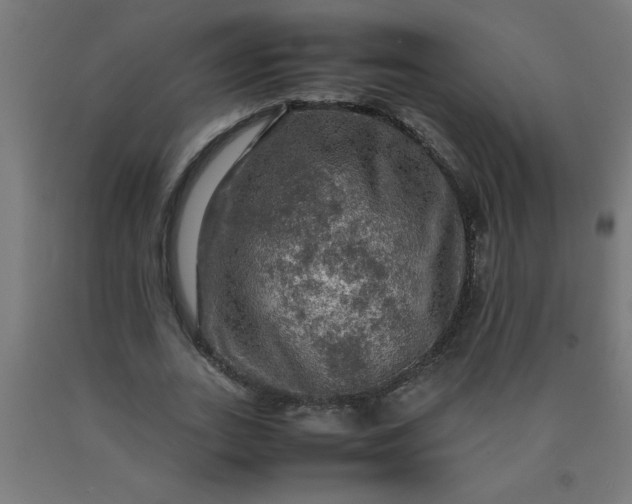 X0000090620727200707311243