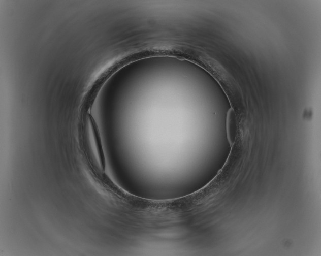 X0000090620728200707311243