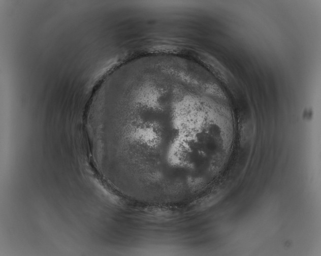 X0000090620729200707311243