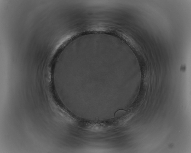 X0000090620731200707311243