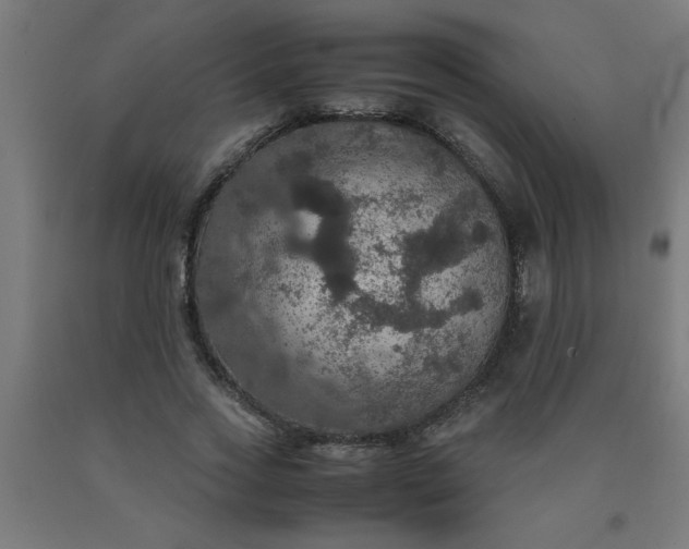 X0000090620733200707311243