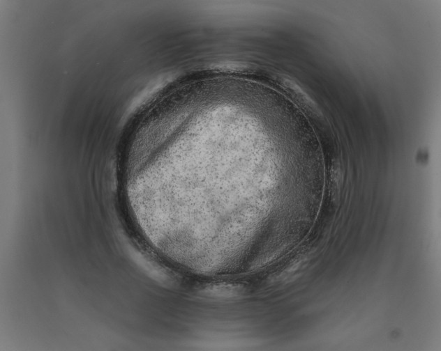 X0000090620734200707311243