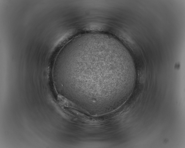 X0000090620735200707311243
