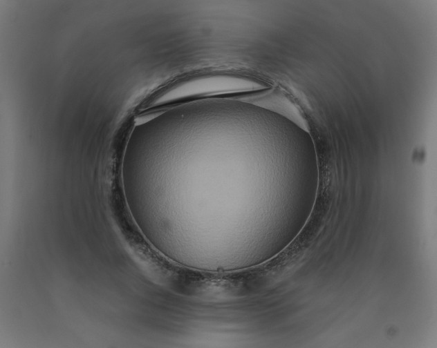 X0000090620736200707311243