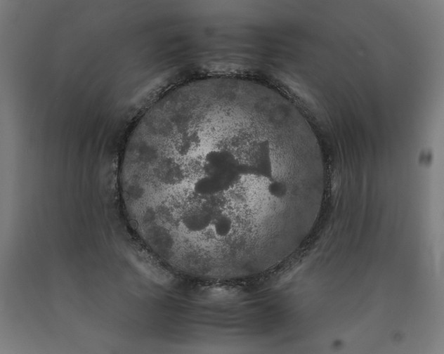 X0000090620737200707311243