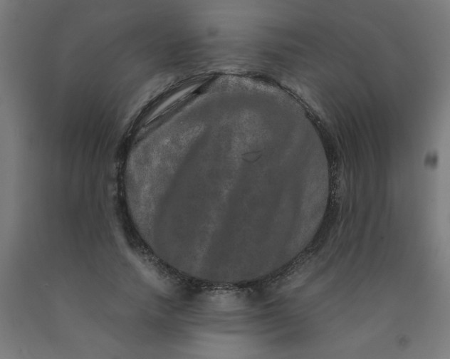 X0000090620738200707311243