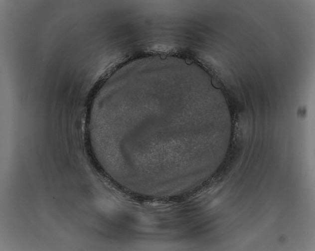 X0000090620739200707311243