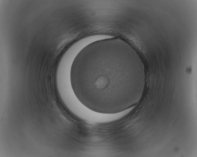 X0000090620740200707311243