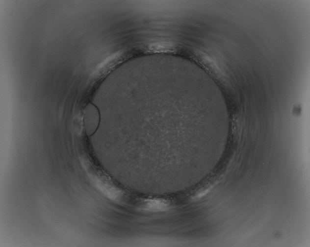 X0000090620741200707311243