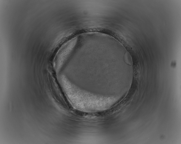 X0000090620742200707311243