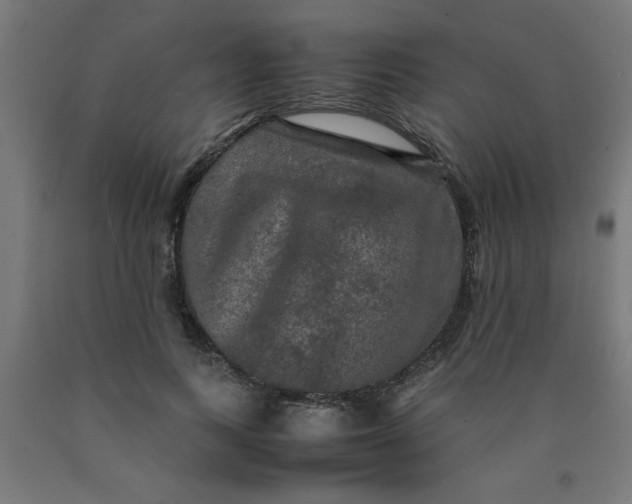 X0000090620743200707311243