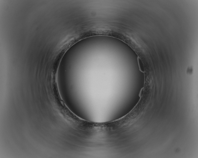 X0000090620744200707311243