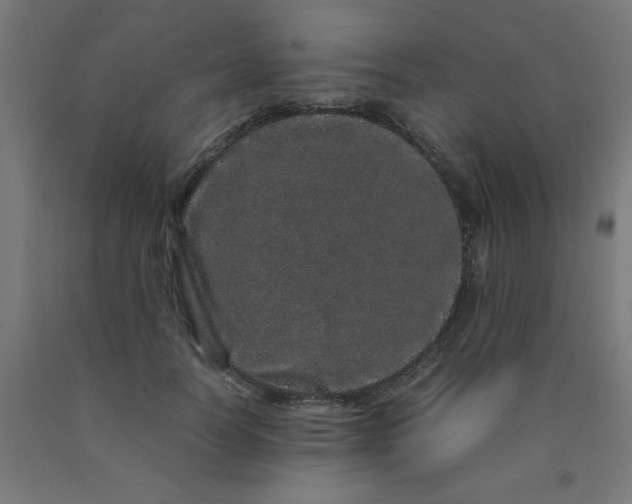 X0000090620746200707311243