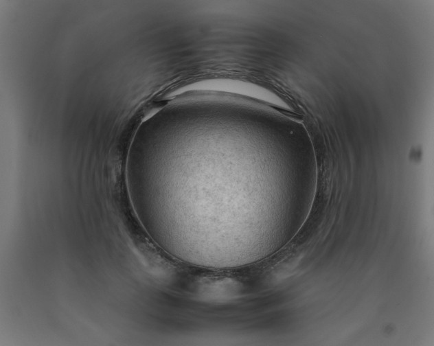 X0000090620747200707311243