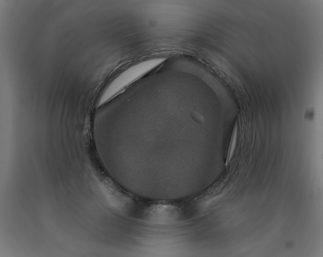 X0000090620748200707311243