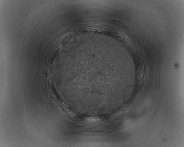 X0000090620749200707311243