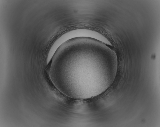 X0000090620750200707311243