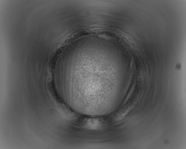X0000090620751200707311243
