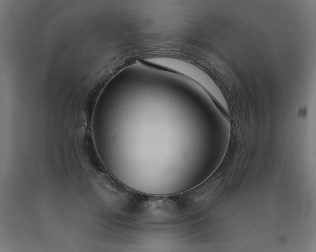X0000090620752200707311243