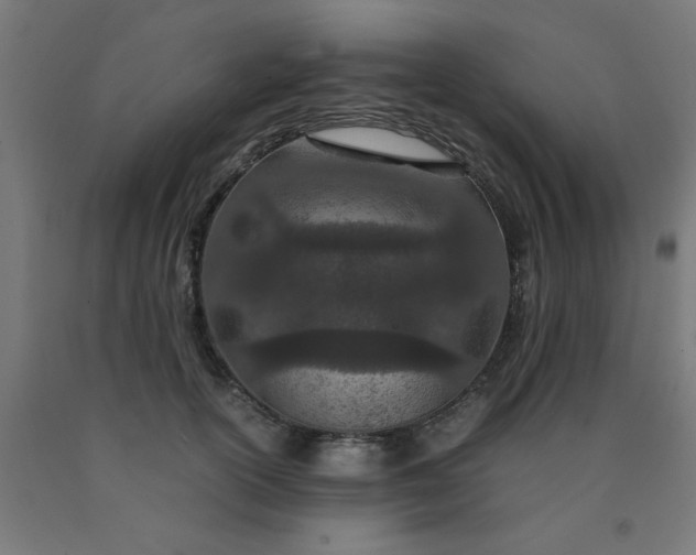 X0000090620754200707311243