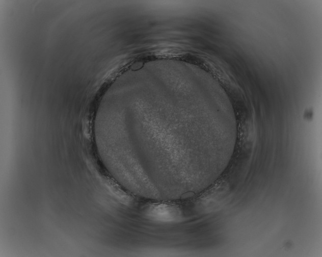X0000090620755200707311243