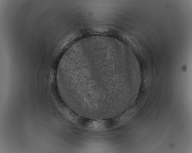 X0000090620758200707311243