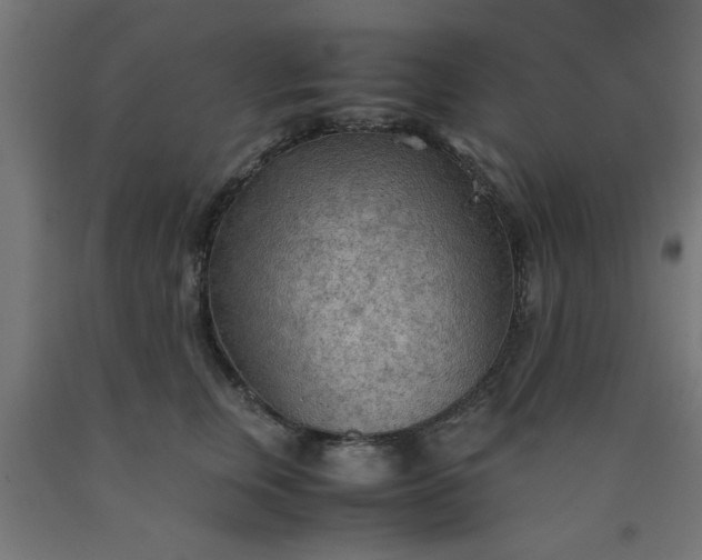 X0000090620759200707311243