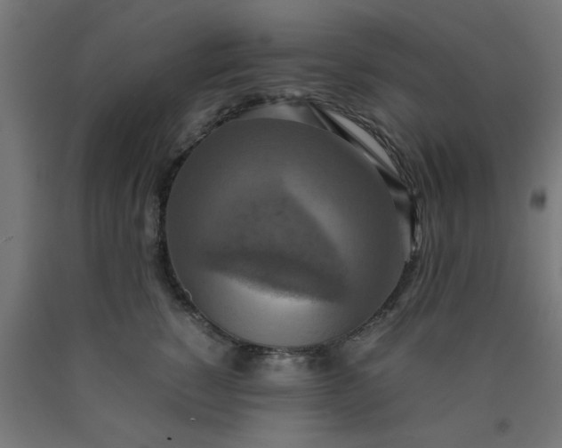 X0000090620760200707311243