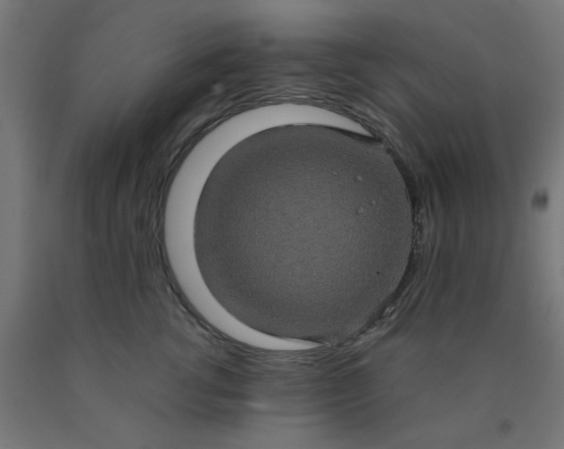 X0000090620762200707311243