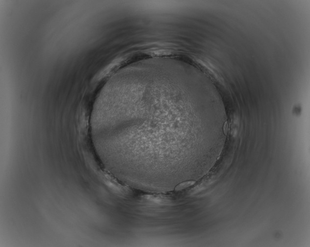 X0000090620763200707311243