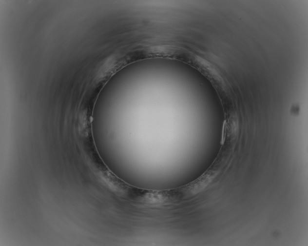 X0000090620764200707311243